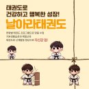 바른아이 태권도 이미지