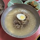 오박사냉면 | 육수가 끝내주는 진천 냉면 맛집 오박사냉면 후기!