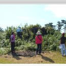 함덕연대 이미지