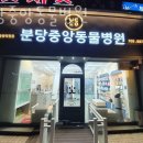 분당중앙동물병원 이미지