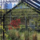 부산시민공원 숲속북카페 | 부산 시민공원 숲 속 북카페와 참여의 숲길 산책