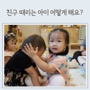 볼 때리는 집 이미지