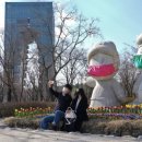 엑스포공원 이미지