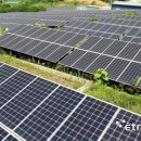 이동근 태양광발전소 이미지