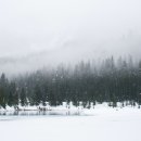 강한마디재활의학과의원 이미지