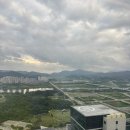 세종침구 | [세종 호텔] 코트야드 바이 메리어트 세종 투숙 후기✨ 뷰 맛집 객실부터 조식까지 알찬 호캉스