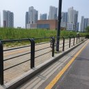 러닝 보조운동에 이 동작이 TOP1 으로 제일 좋음 (불가리안 스플릿 스쿼트) 이미지