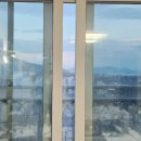 도배1번지 이미지