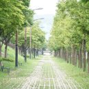 신평동1143 이미지