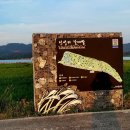(긴급벙개) 서천 장항 송림자연휴양림 맥문동 축제 / 당일 이미지