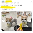 봄동살롱 이미지