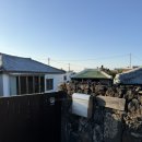 제주 독채 추천, 일상과 쉼의 사이 &#39;조천마실&#39; 추천(Feat. 스테이폴리오/히노끼탕)