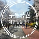 감삼동358 | 두류공원 : 대구에서 가장 큰 공원이자 벚꽃명소로 유명해요!! 서남시장부터 두류공원 벚꽃 나들이 후기