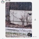 무니하우스 | 짧지만 굵게 2월 안녕