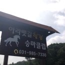 아라뱃길 승마클럽 이미지