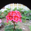 우장산동 이미지