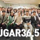 슈가365인천지사