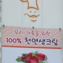 빵굽는파파 네이버블로그