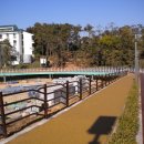 디엔테크 이미지