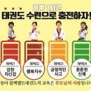 동아 태권도 이미지