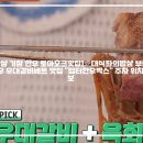 랩터 한우박스