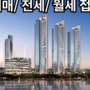 수영 센텀부동산 공인중개사사무소 네이버블로그