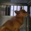 늘푸른셀프세차장 이미지