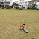 바다가쓴시 이미지