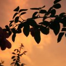 (주)재림환경 이미지