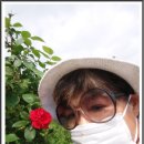 오월의여왕 이미지