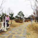 체육시설운동기구 이미지