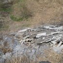 용혈1리 이미지