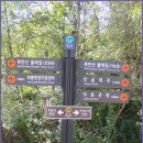 안골길 9 이미지