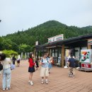 쿠스커피 | 후쿠오카 가볼만한곳 유후인 벳부 여행, 수제 요구르트 맛집 '쿠스휴게소'