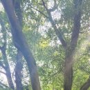 다송초등학교 이미지