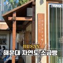 스테이자연도 | 해운대 자연도 소금빵 일요일 오픈런 후기, 주말 웨이팅 꿀팁