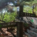 은평-036 티스토리