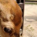 켄싱턴호텔평창 실외수영장 이미지