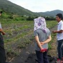 이병일농장 이미지