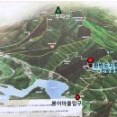 한반도