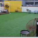 댕굴댕굴 반려견 유치원 | 청주애견카페 도그렐라라운지 루프탑 너무 좋아용~