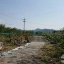 산새목장 이미지