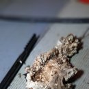 매자리길 이미지