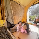 쉬리 | [파주 캠핑장] 10개월·6살 아이와 단체캠! 네셔널지오그래피 캐빈하우스2 피칭 후기 (나무와 쉬리)