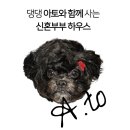위니즈몰