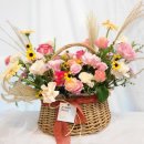 도봉-창동-도봉-5155 이미지