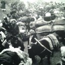 칼슨그레이시 코리아 이미지