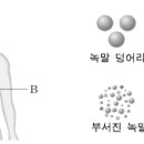 생물 20문제(거의 다 되었는데...) 이미지