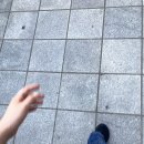 부림1농장 이미지