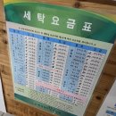 오투세탁소 | 제주 오투크리닝 세탁소 롱패딩 곰팡이 세탁후기